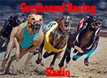 Greyhound Racing Radio
