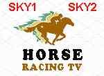 Horse Racing TV