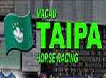 Macau Taipa Horse Racing Live