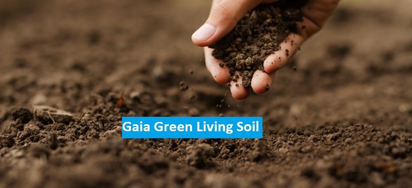 Gaia Green Living Soil