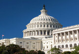 Capitol Live Cams in USA